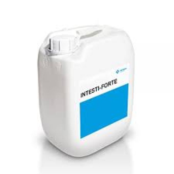Intesti Forte (cink) (10 liter/kanna)
